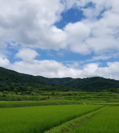 農地転用